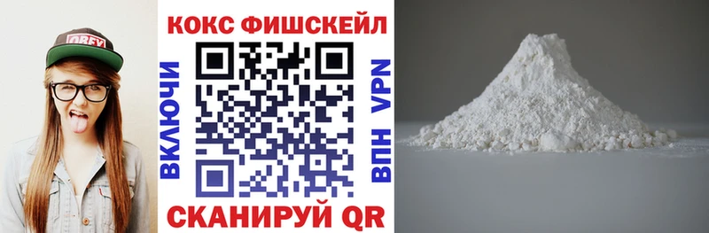 Купить закладки  Татарск  Cocaine FishScale 