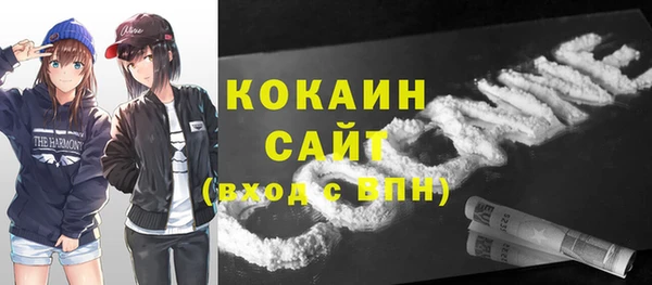 прущий лед Дмитриев