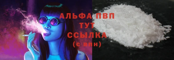 прущий лед Дмитриев