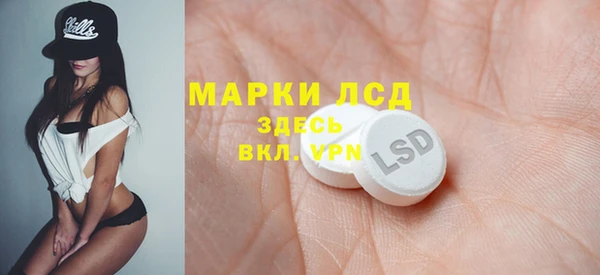 прущий лед Дмитриев