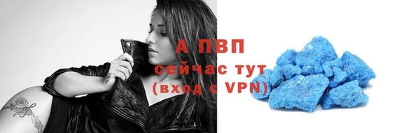 прущий лед Дмитриев