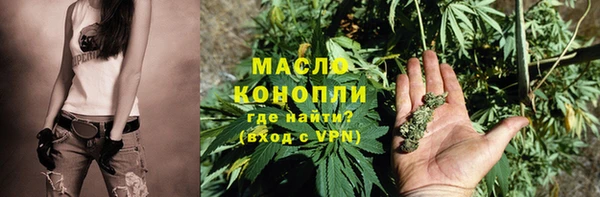 прущий лед Дмитриев