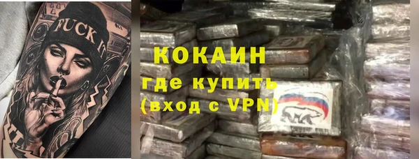 прущий лед Дмитриев