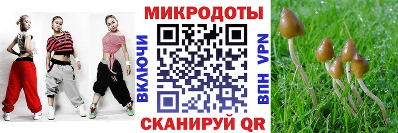 Псилоцибиновые грибы MAGIC MUSHROOMS  Купить где  Татарск 